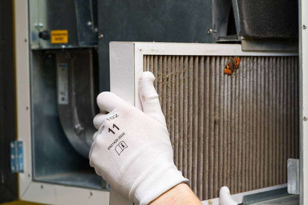 Best Emergency Air Duct Cleaning  in West Branch, IA