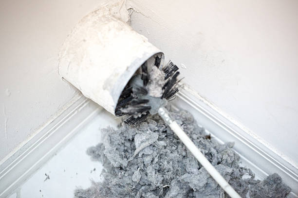 Best Local Air Duct Cleaning Services  in West Branch, IA