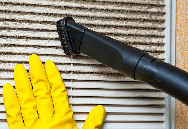 Best Air Duct Mold Removal  in West Branch, IA